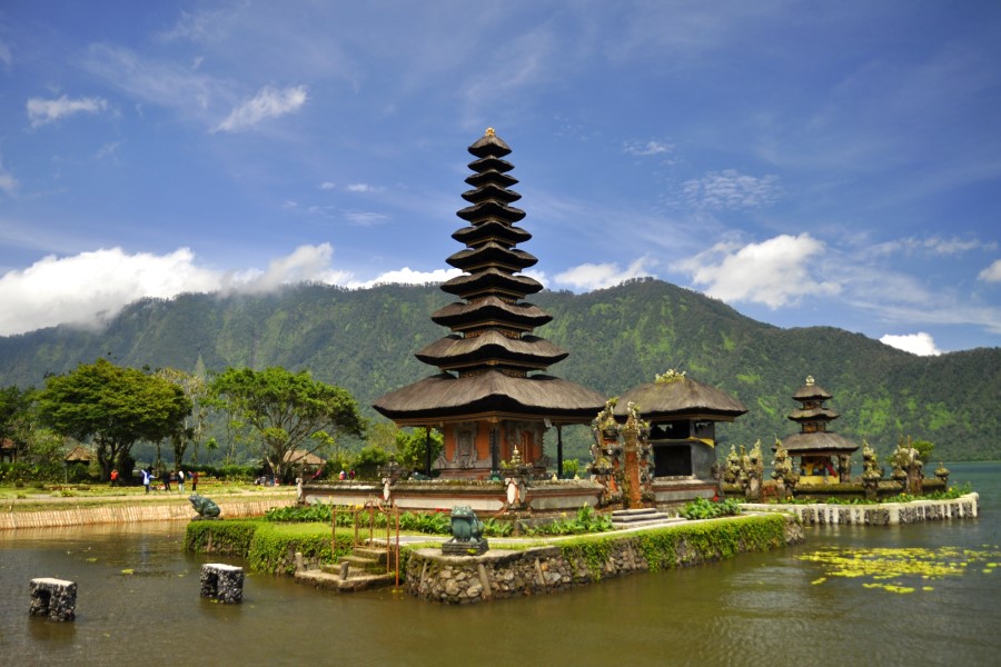 ngopi di kintamani