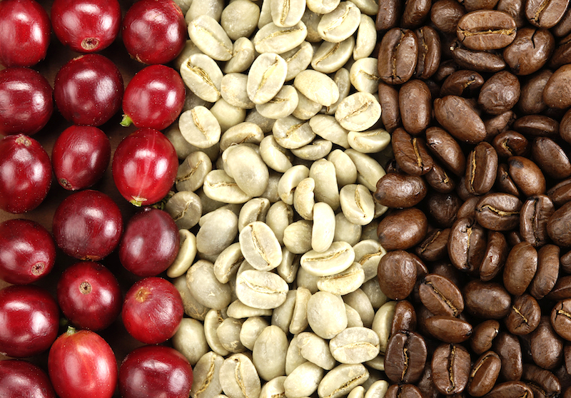 Photo credit : cafelasemeuse.com