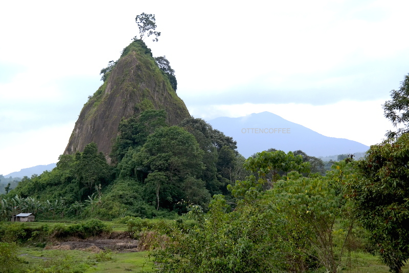 Bukit yang mengadap langsung ke Taruko Cafe.