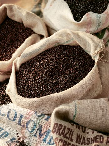 kopi single origin