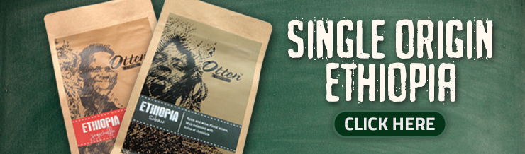single origin ethiopia