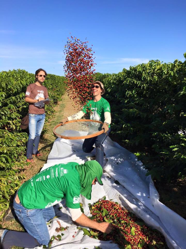 barista-and-farmer