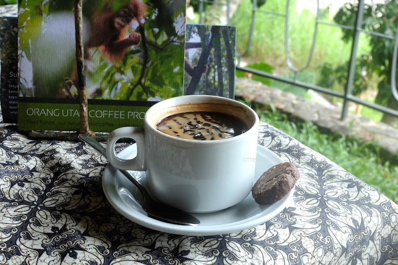 Americano dari biji Orangutan Coffee.
