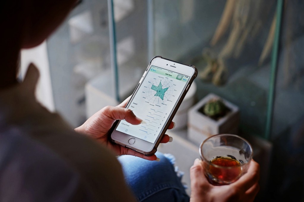 melihat layar smartphone