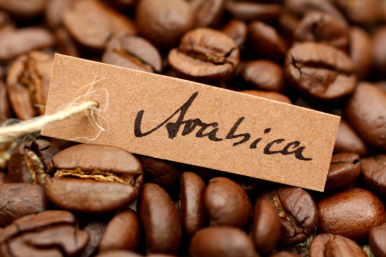 kopi-arabica