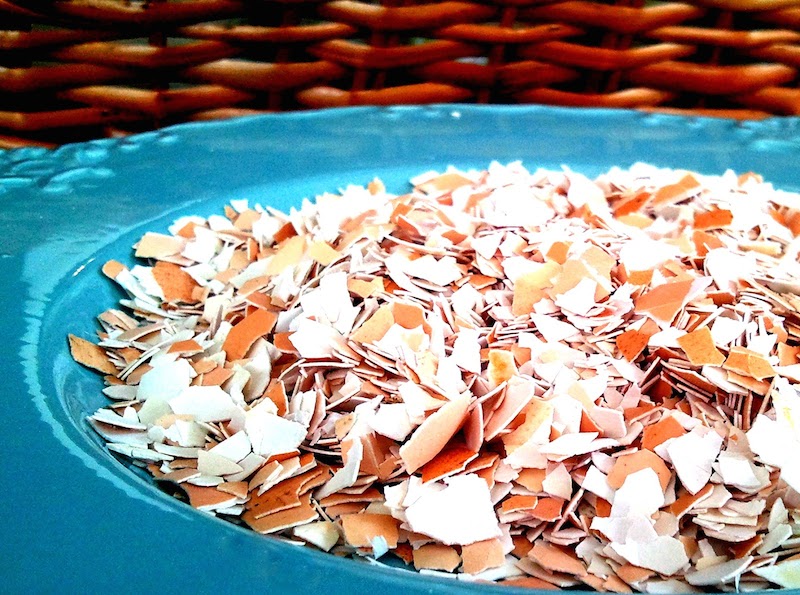 kulit telur dicampur seduhan kopi