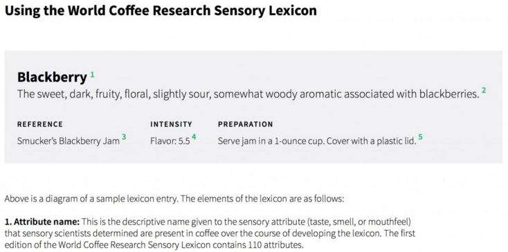 sensory lexicon