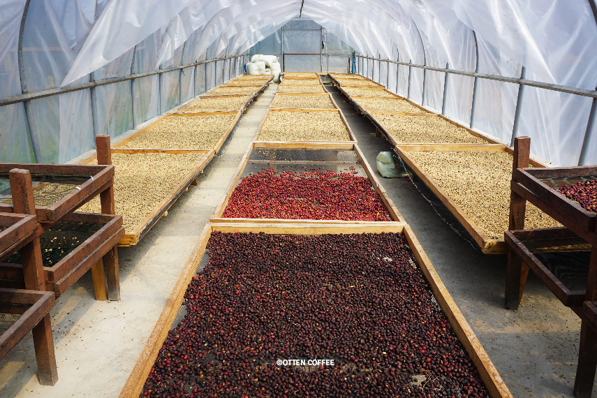 Drying house