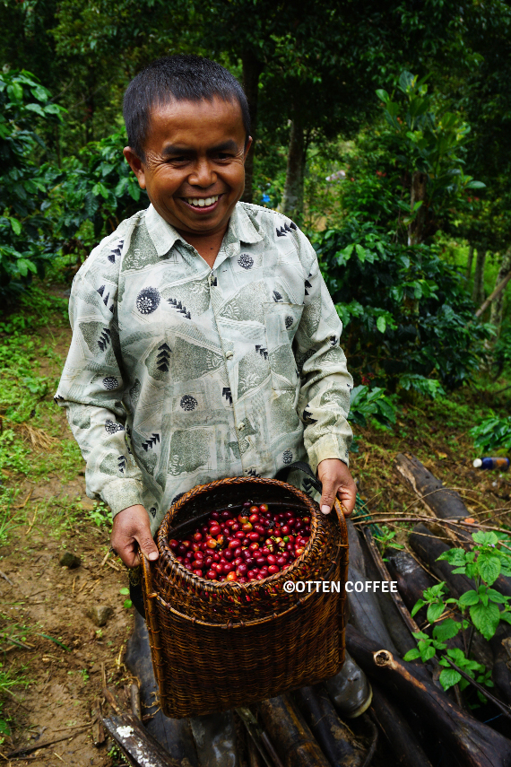 petani-kopi-dan-cherry-kopi