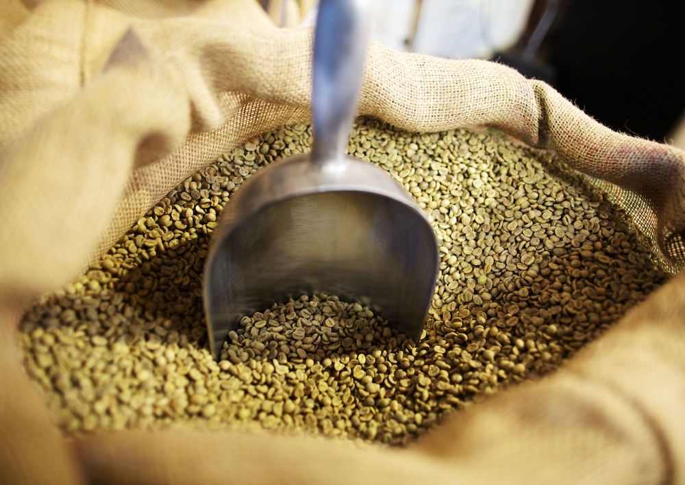 coffee green bean