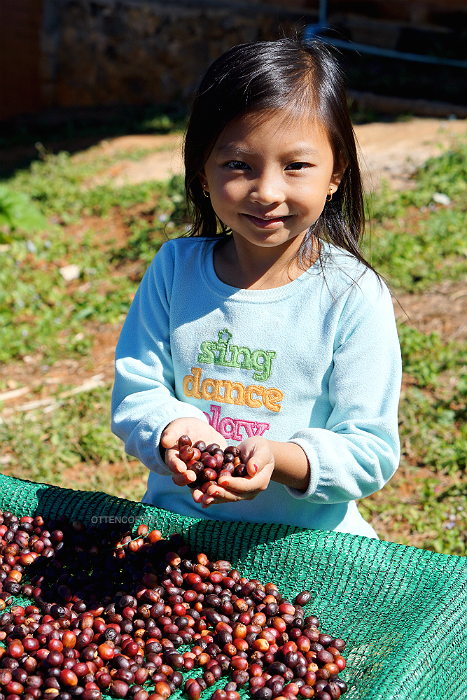 anak kecil dan ceri kopi