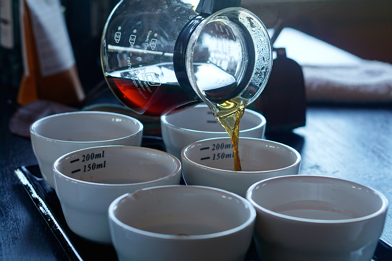 proses coffee cupping