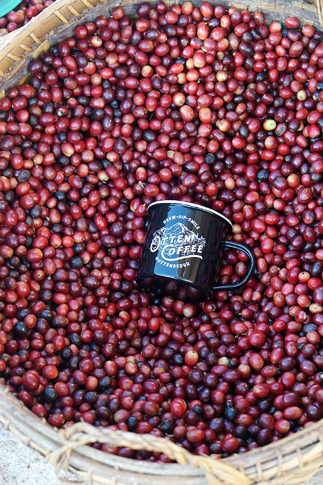 ceri kopi dan cangkir kopi