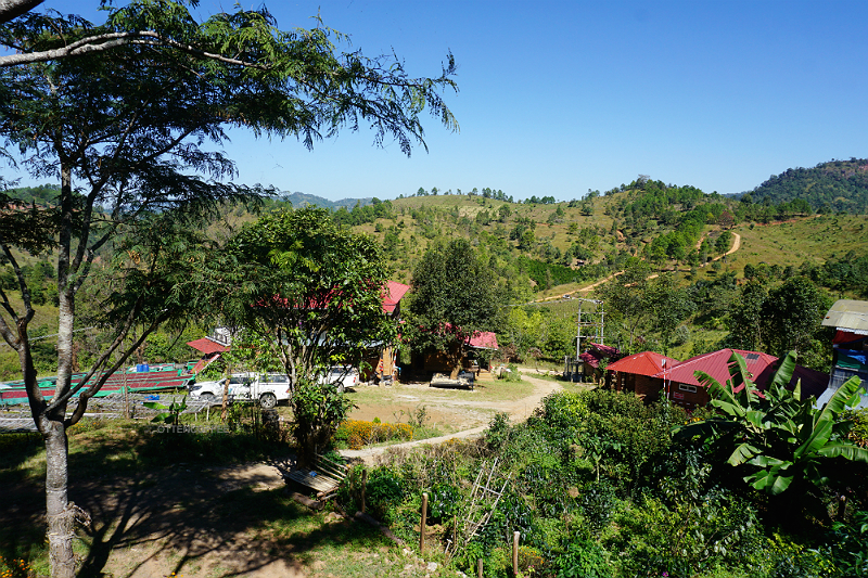 pemandangan kebun kopi
