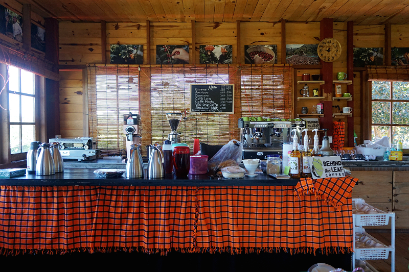 ruang bar behind the leaf