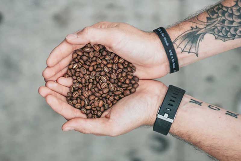 beli kopi biji
