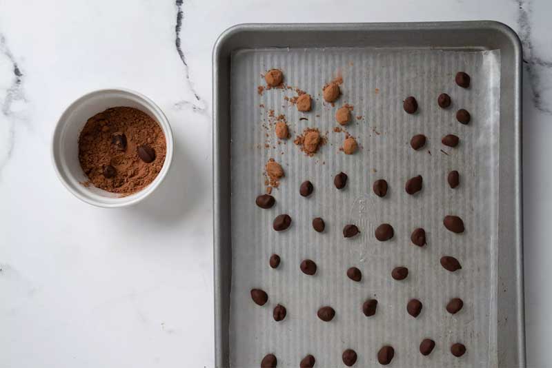 biji kopi dan bubuk cokelat dalam nampan oven