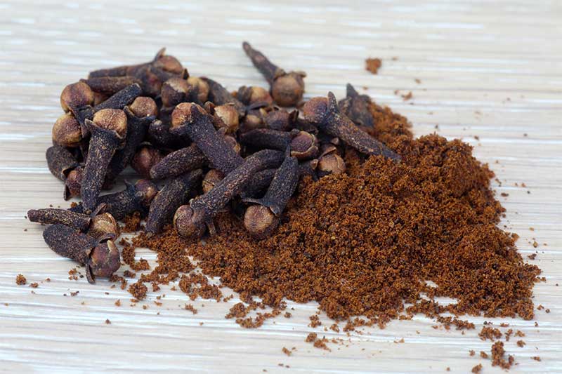 kopi cengkeh