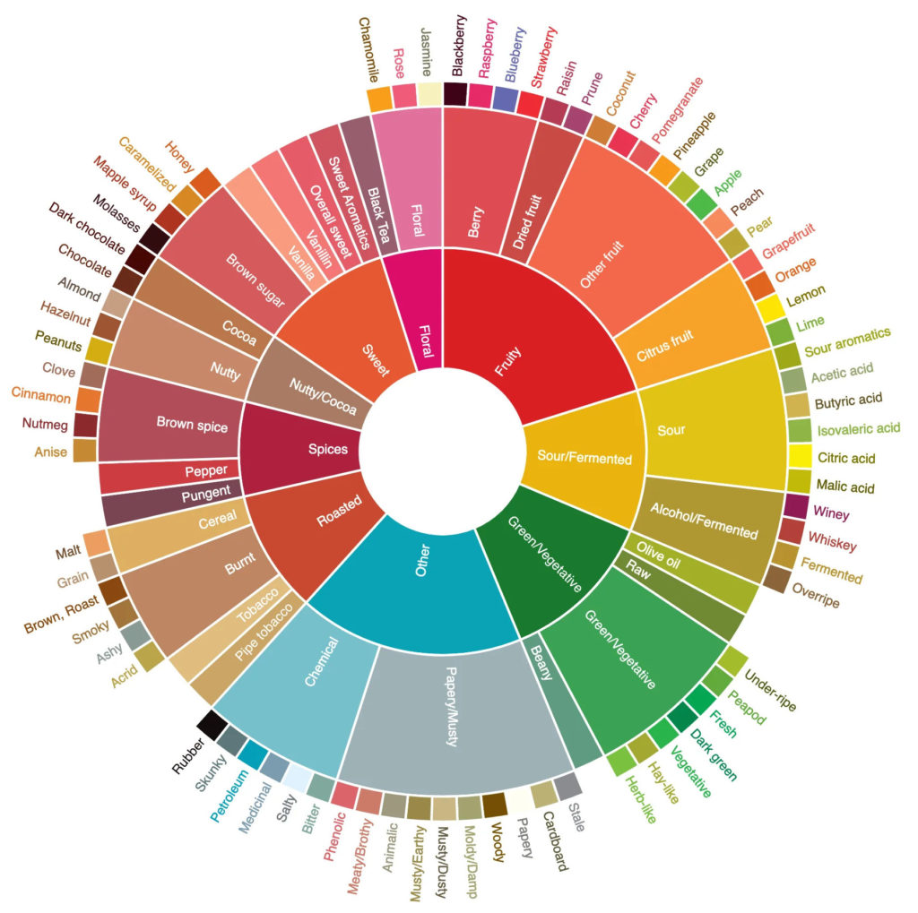 coffee flavour wheel