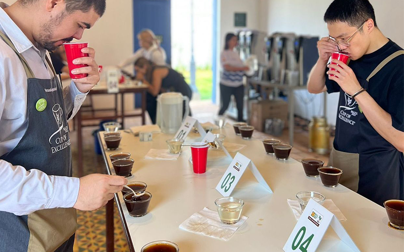 cup of excellence 2023 brazil