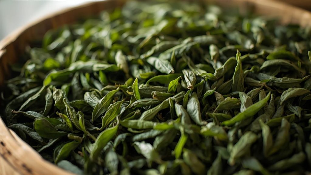 daun teh tencha