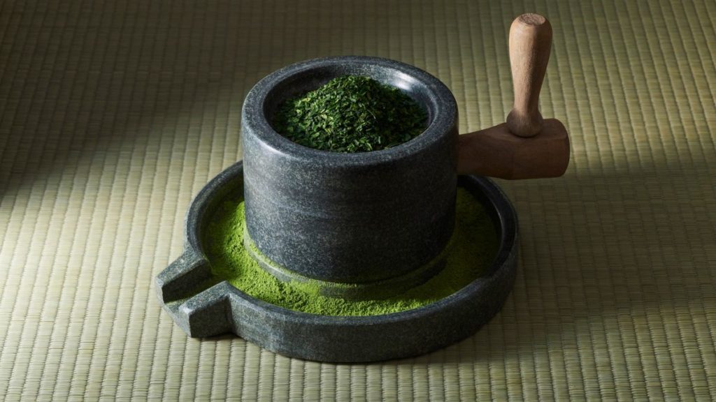 menggiling daun teh menjadi matcha bubuk